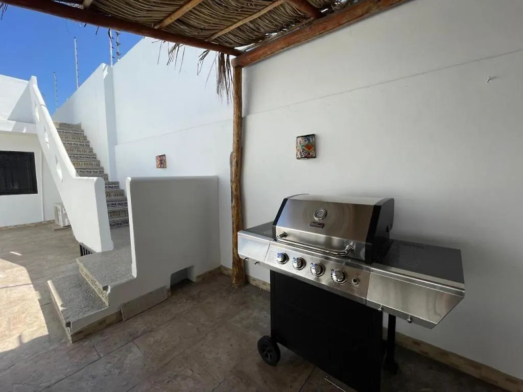 Historic Home with Roof-top Terrace and Grill 马萨特兰